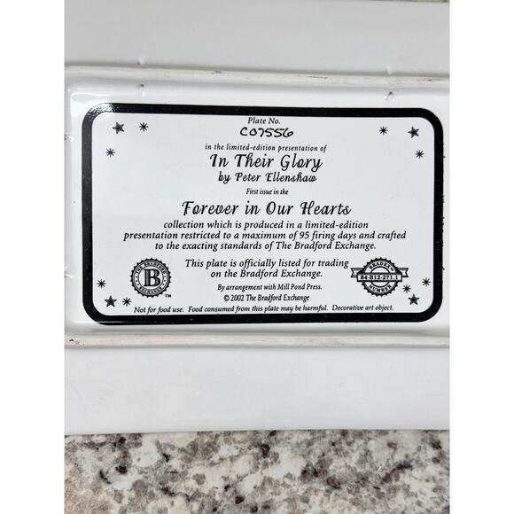 TWIN TOWERS New York City NYC Bradford Exchange Tray numbered 2002 - Picture 9 of 9